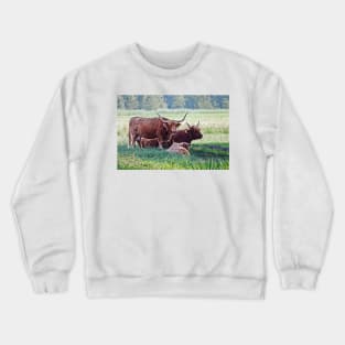 Highland cattle cows family on pasture Crewneck Sweatshirt